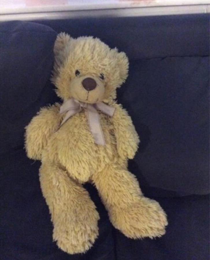 En söt Teddybjörn söker nytt hem