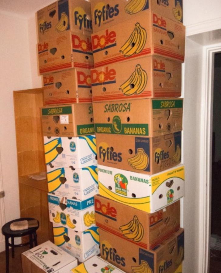 Banankartonger - 22 st
