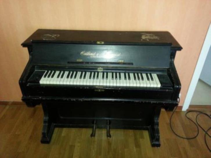 Orgel