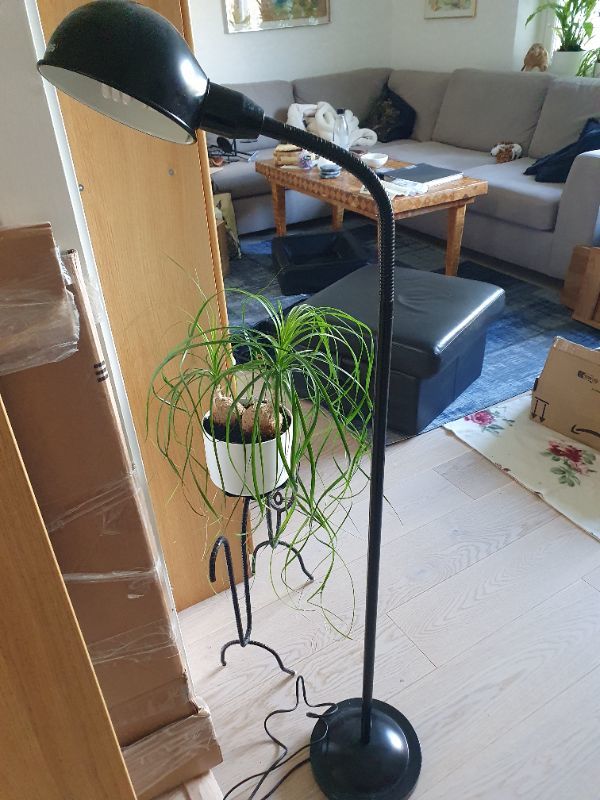Lampa