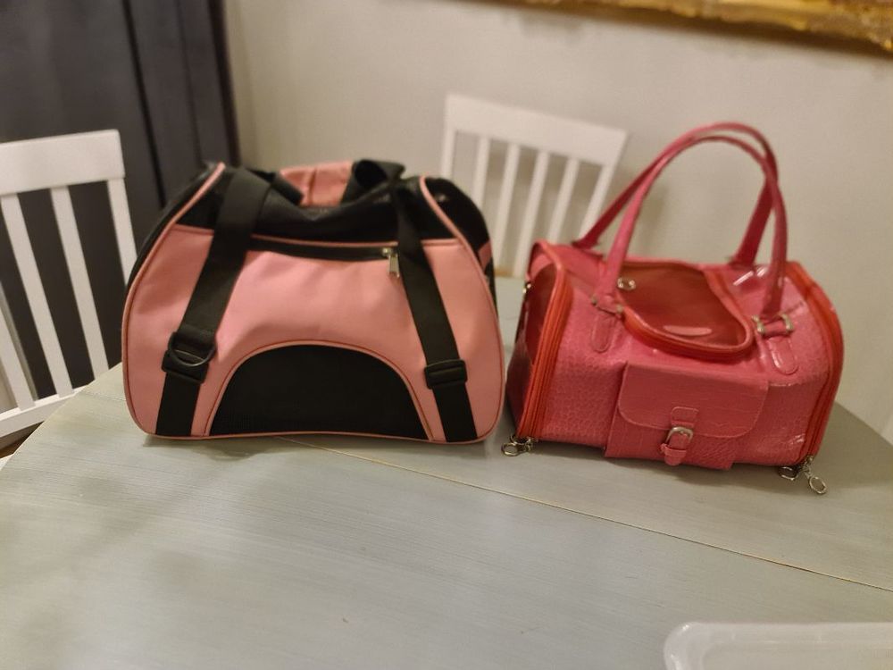 Transportväskor katt