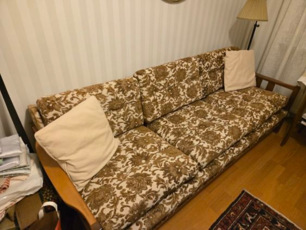 Bäddsoffa bortskänkes är