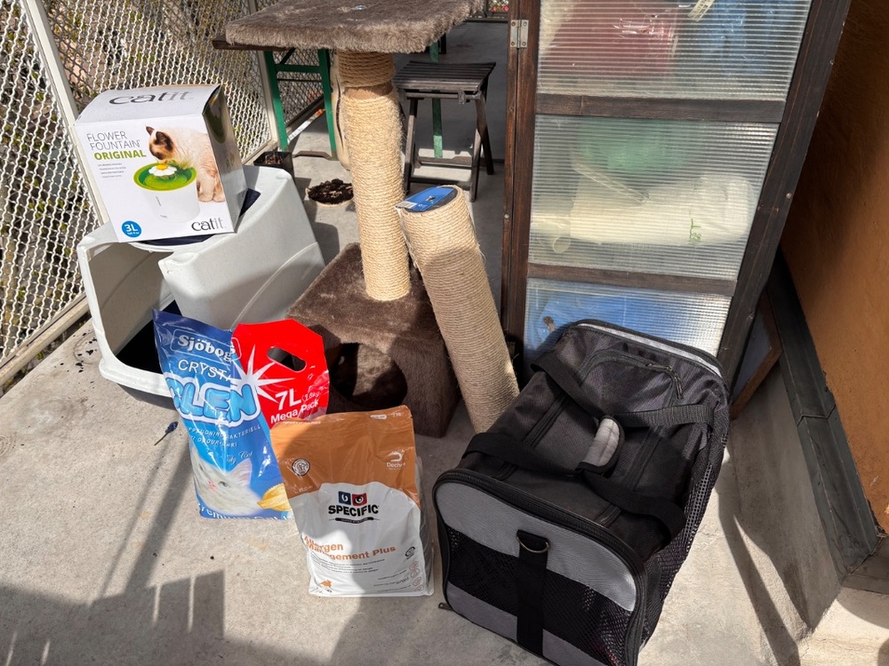 Kattsaker bortskänkes