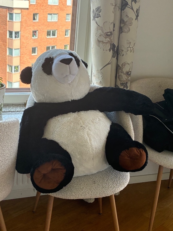 Barnböcker och stor nalle 